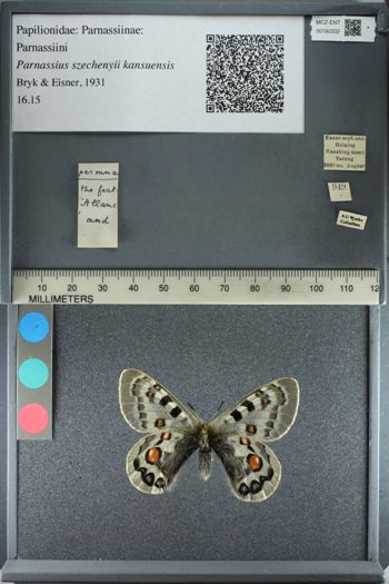 Media type: image;   Entomology 180332